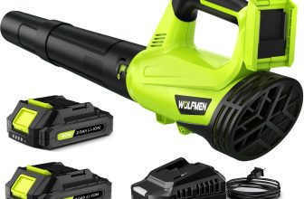 Cordless Leaf Blower: 2 Batteries, Charger, Lightweight 2-Speed