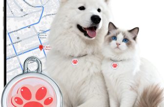 The best gps trackers for cats of 2026 for 2026
