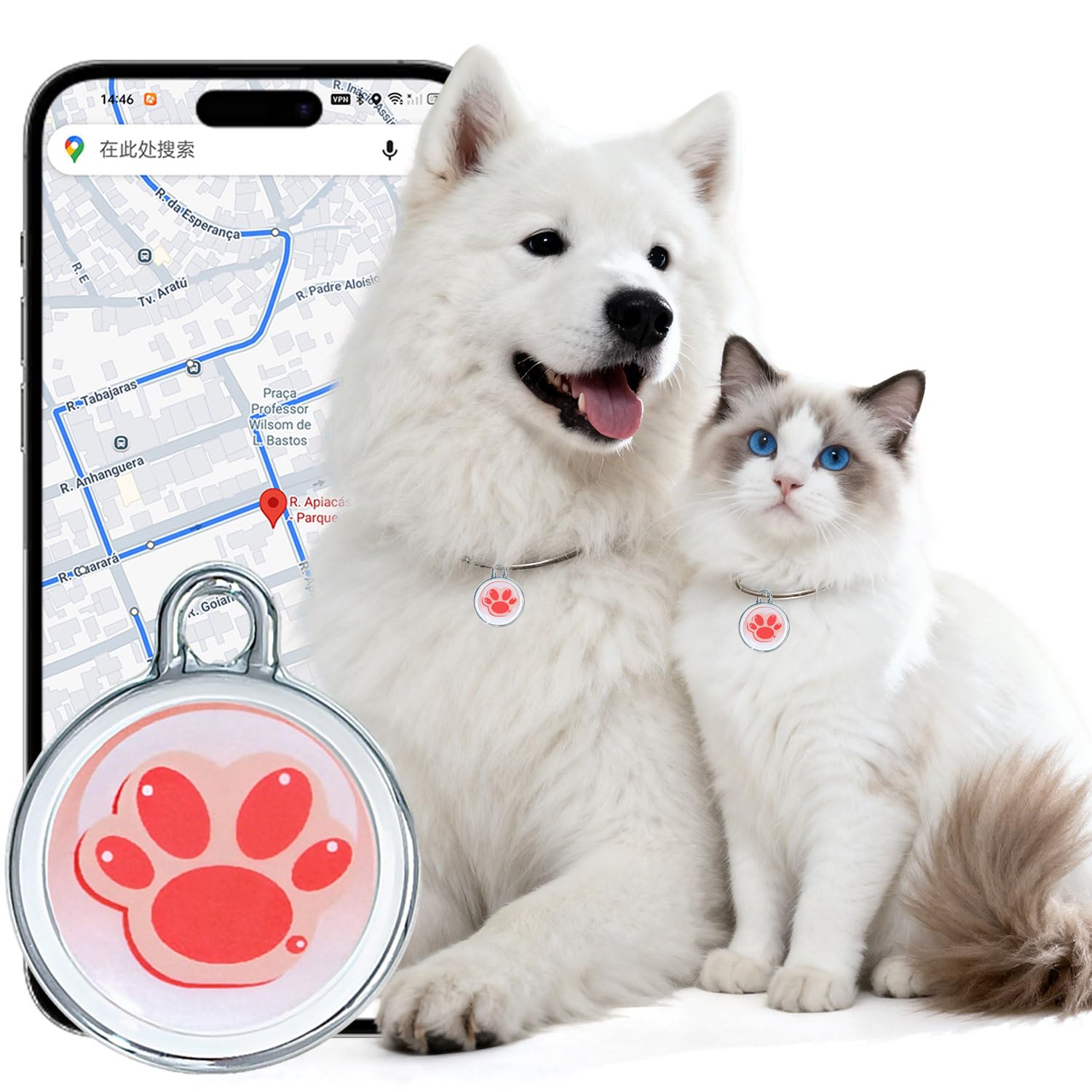 The best gps trackers for cats of 2026