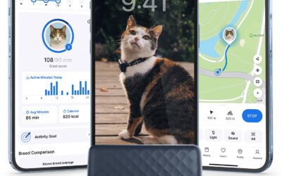 The Best Cat Gps Trackers of 2026 Reviewed and Compared
