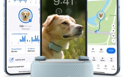 The Best Dog Gps Trackers of 2026 (Top Picks)