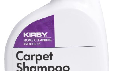 The Best Kirby Vacuum And Carpet Cleaner of 2026 (Top Picks)