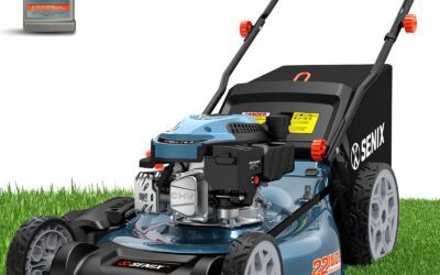 The Best Cheap Commercial Lawn Mowers of 2026 You Can Buy Today
