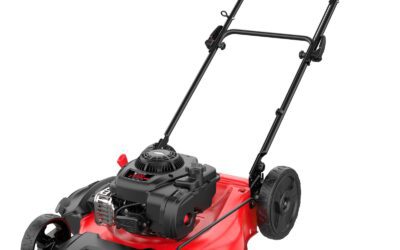 The Best Lawn Mowers Briggs And Stratton of 2026 to Upgrade Your Home