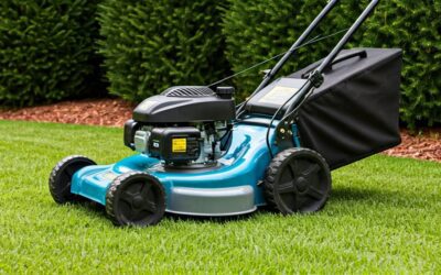 The Best Lawn Mowers Self Propelled of 2026 Reviewed and Compared