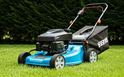 The Best Lawn Mowers Service of 2026 Worth Your Money