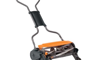 The Best New Push Lawn Mowers of 2026 Worth Your Money