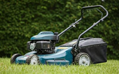 The Best Salvage Lawn Mowers of 2026 Reviewed and Compared