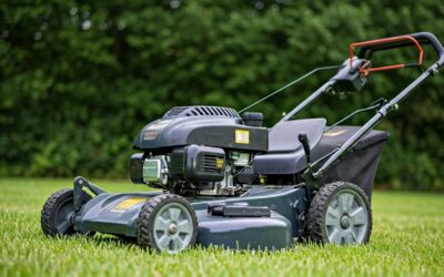 The Best Woods Lawn Mowers of 2026 Reviewed and Compared