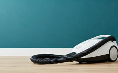 The Best reddit store sebo vacuum cleaner of 2026 for Every Budget