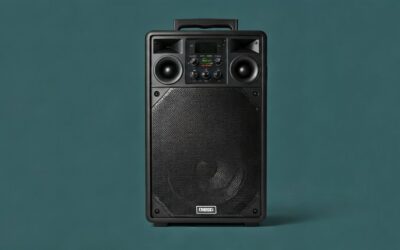 Wireless Party Speakers With Microphones – Make Any Event Memorable