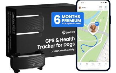 Tractive vs Fi: Pet GPS Trackers Head-to-Head