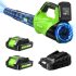 650 CFM Cordless Leaf Blower w/ 2×5.2Ah Batteries & Charger